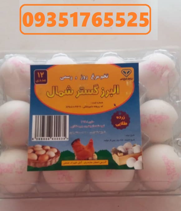 قیمت تخم مرغ  زرده طلایی بسته بندی البرز در بازار